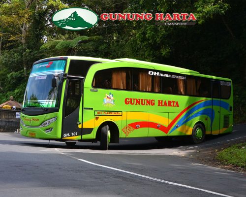 Jet Bus 3