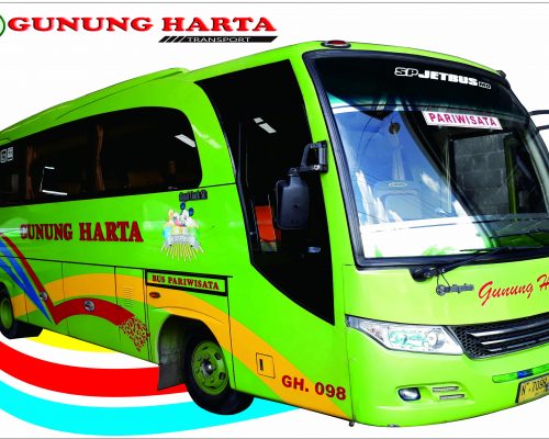 Medium Bus